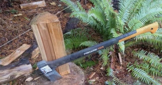 Poda corte e abate de arvores