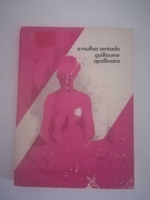 livro - A mulher sentada.