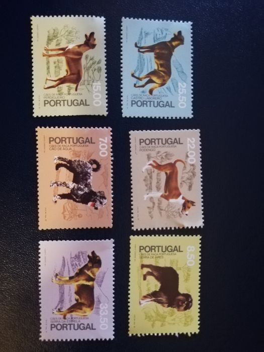 Série de cães de raça portuguesa 1981