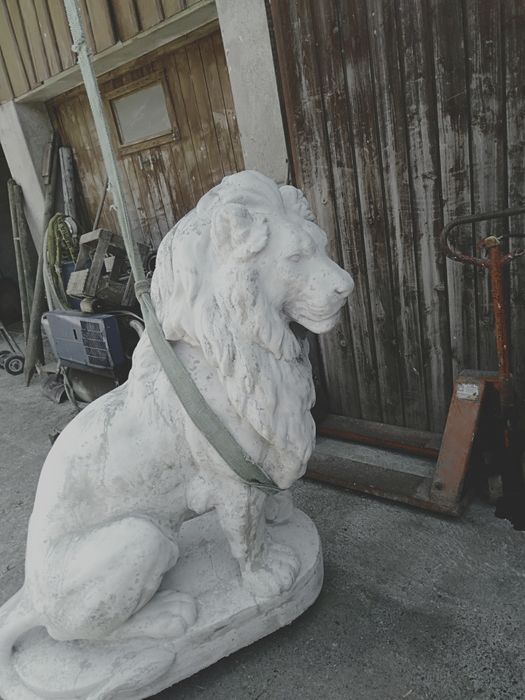 Lew betonowy duży