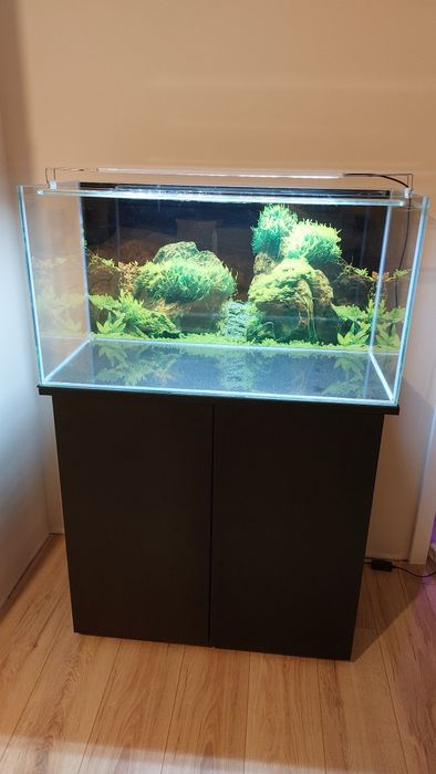 Akwarium optiwhite 145 l