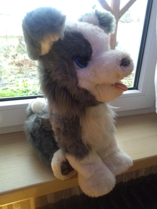 Hasbro Furreal Ricky lub Lexi cudowny piesek