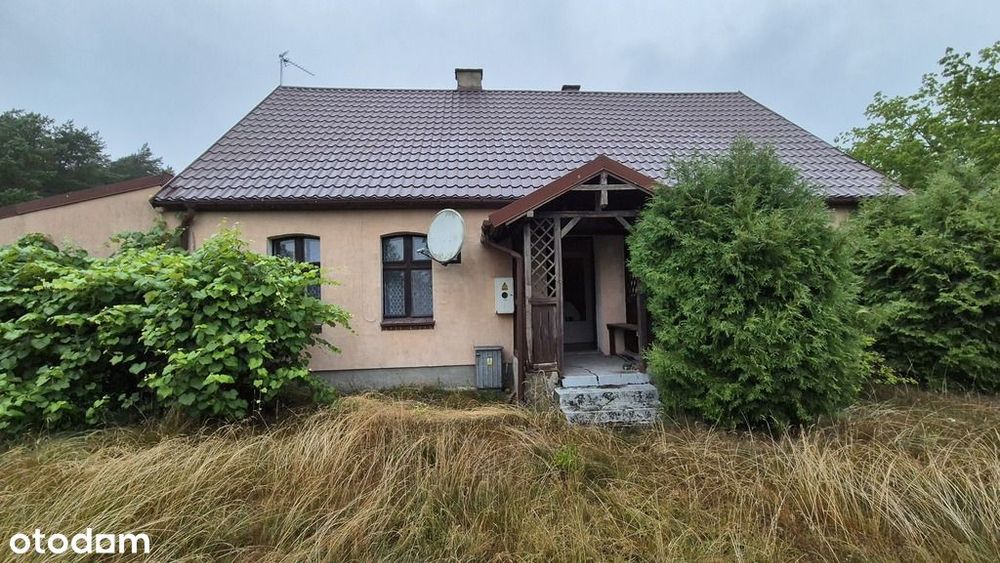 zabudowa mieszkaniowa pod lasem i zagrodowa