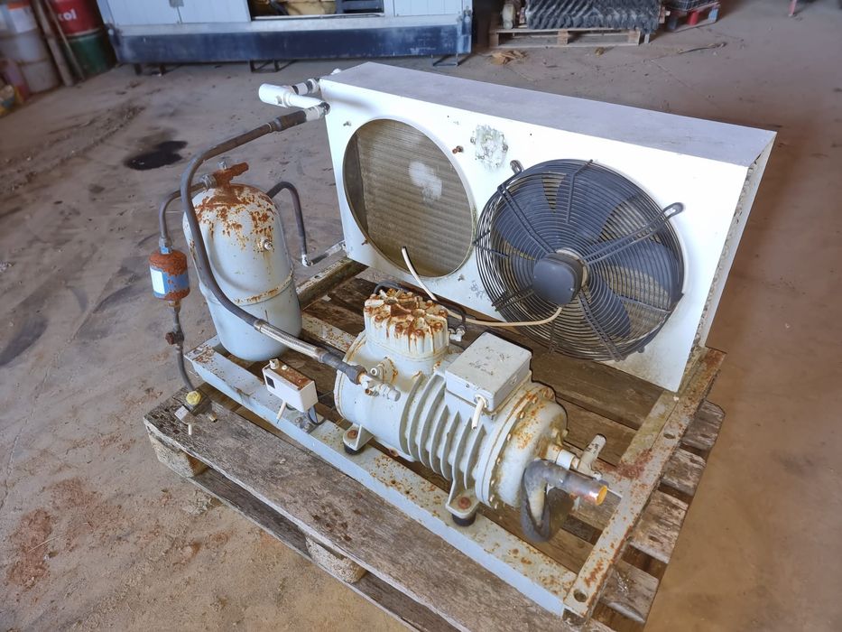 Compressor frigorifico