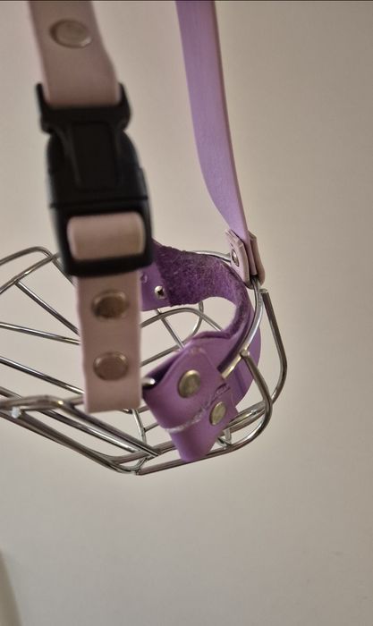 Fizjologiczny kaganiec dla psa brachycefalicznego