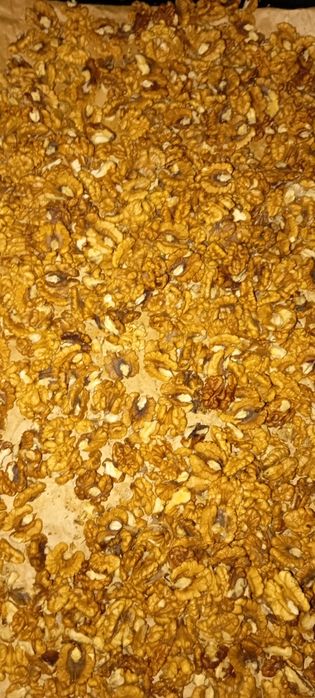 Грецкий орех, урожай 2025 г.