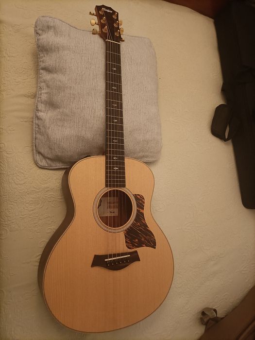 Taylor GS Mini e-Rosewood LTD 50th Anniversary