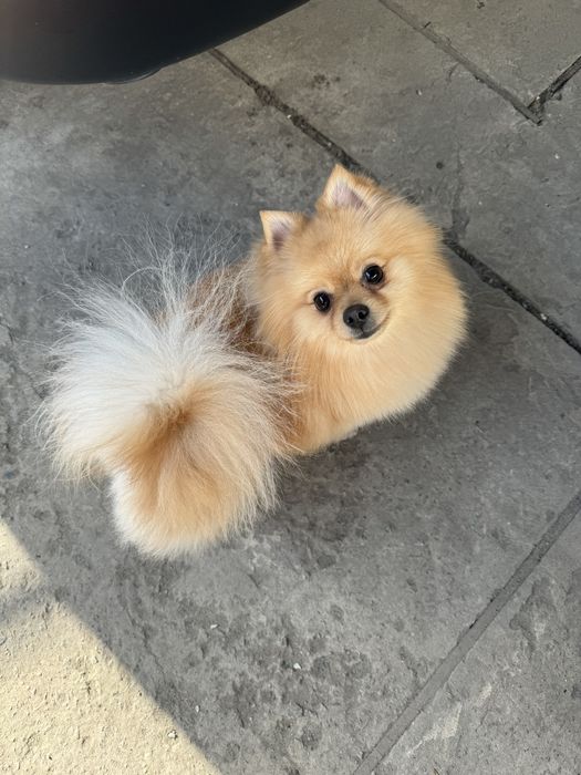 Ищу невесту