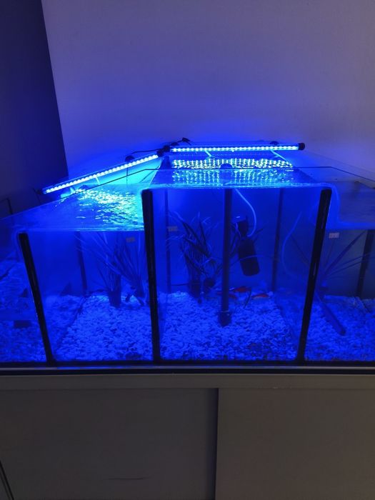 Aquário cascata excelente