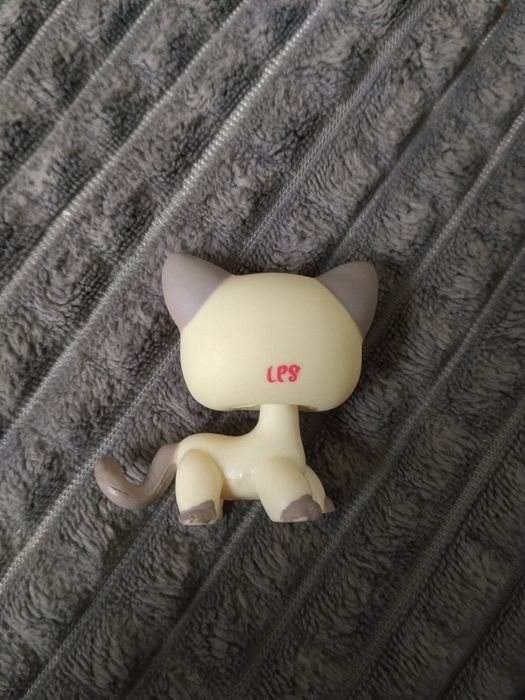 Lps shorthair 1116
