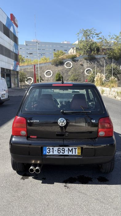 Lupo interior em pele