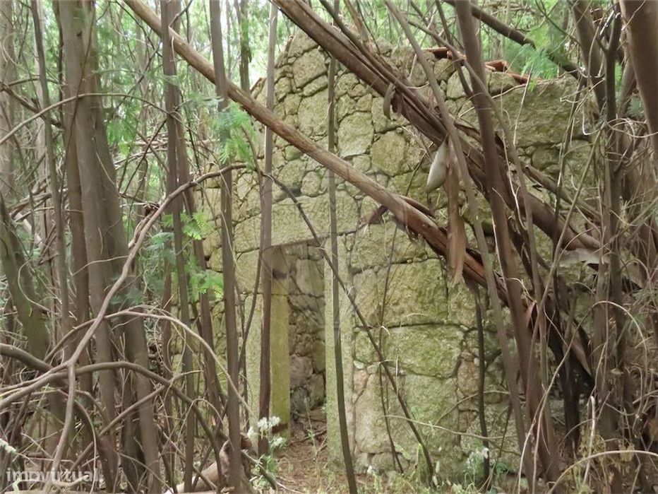 Quinta  para venda — São Vicente da Beira, Castelo Branco