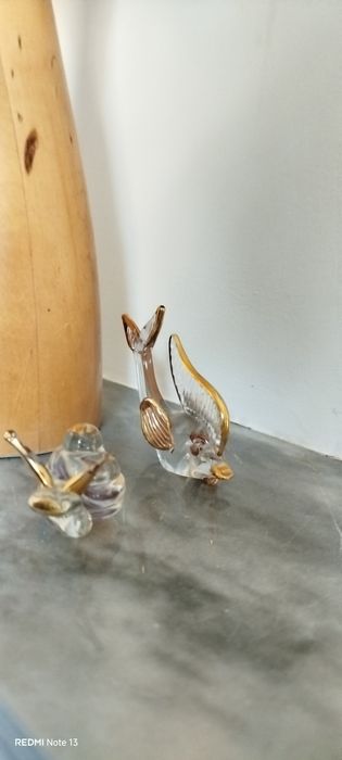 Peixe e caracol em vidro
