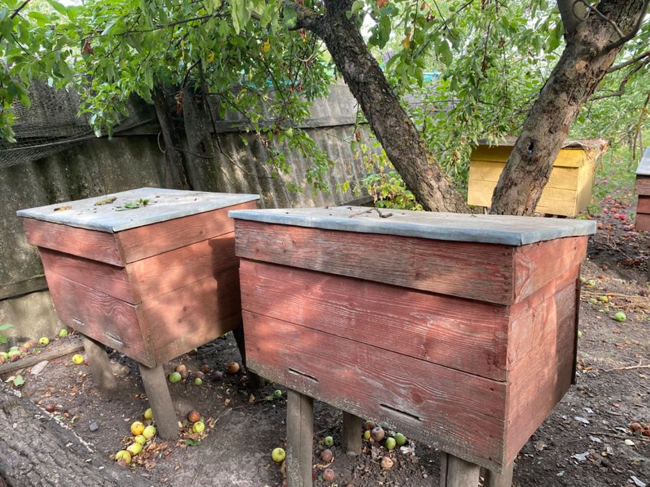 Продам вулики для бджіл Кіровоградська обл.