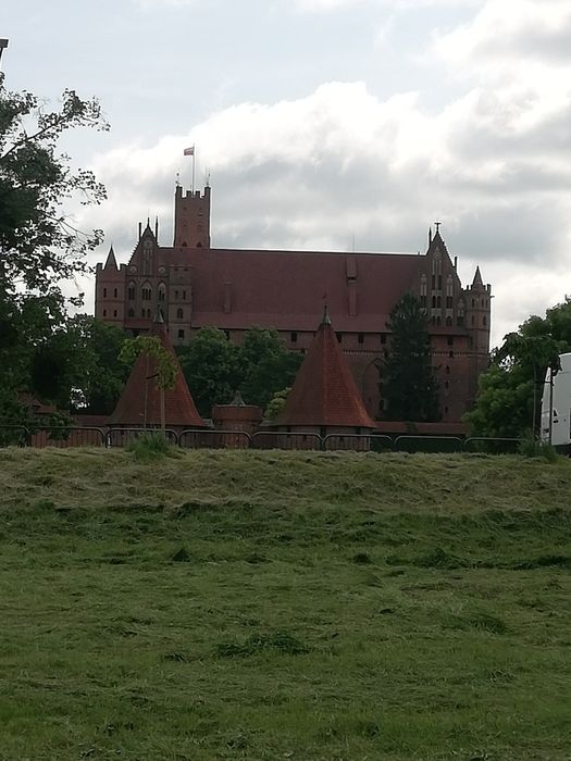 Wycinka drzew ,krzewów, rąbanie i cięcie, koszenie trawy i trawników