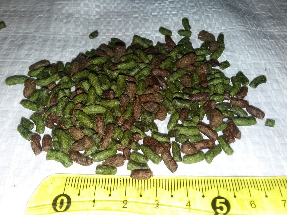 Корм для водных черепах 0.5кг.