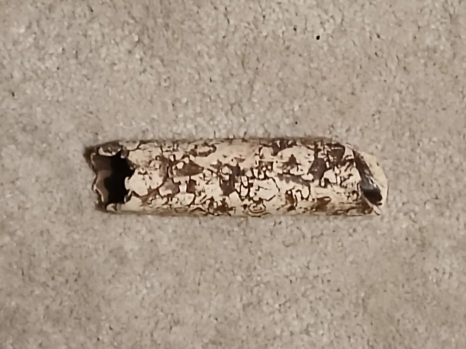 Akwarium z akcesoriami