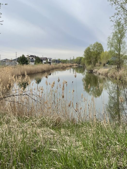 Продам ділянку-землю ГНІДИН 12 сот. ТЕРМІНОВО .Вул.Чубинського. Гнедин