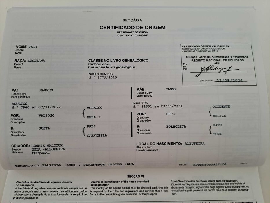 Poli. Vendo égua lusitana de 6 anos