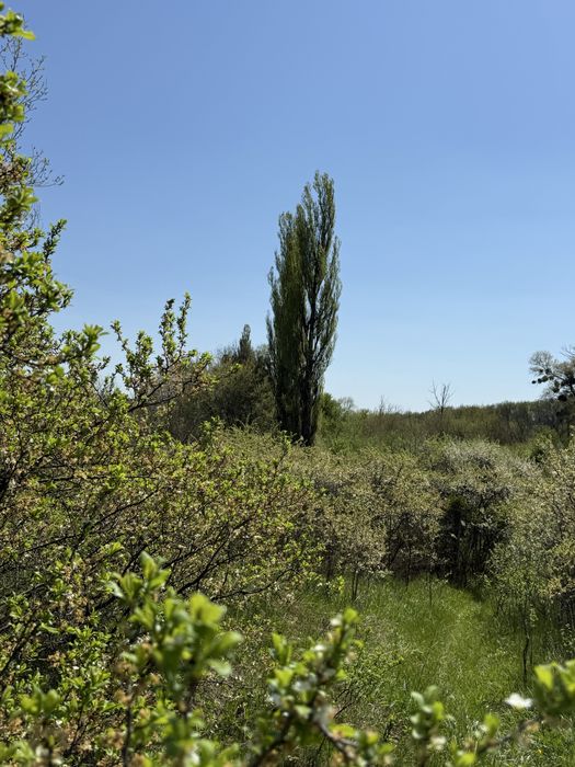 ВЛАСНІ земельні ділянки селище Високий