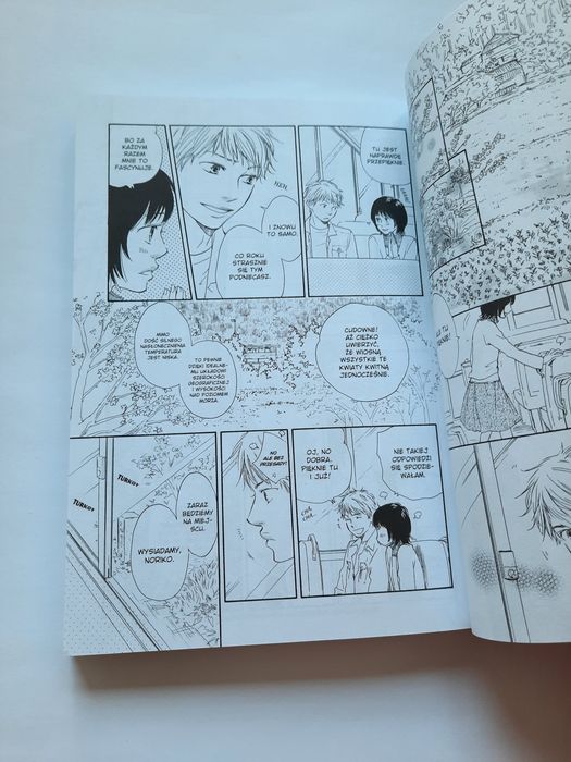 Przekleństwo siedemnastej wiosny, manga