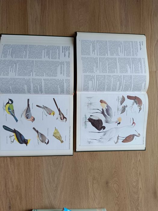 Moderna enciclopédia de animais