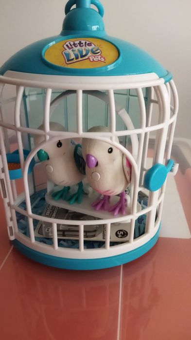 Little live pets pássaros falantes