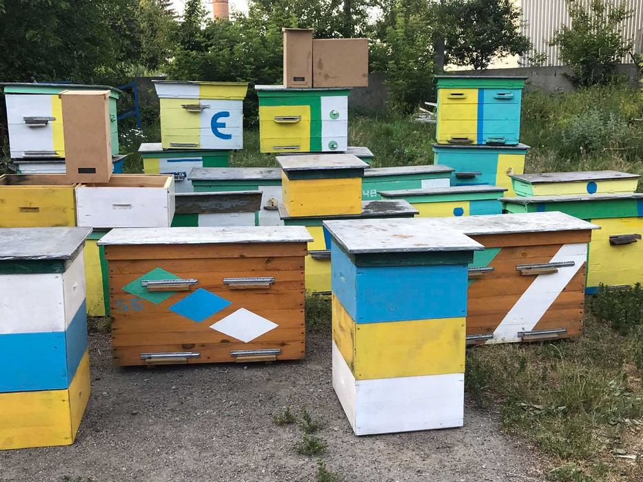 продаю вулики різних типів