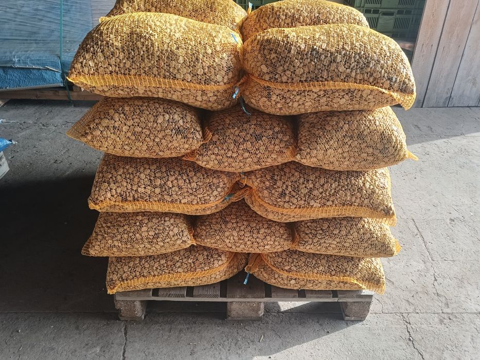 Sprzedam bób  bizon i rambos