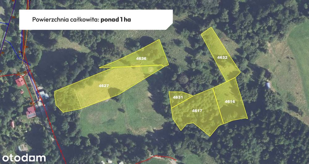 Kompleks działek 1 ha | 7500 m² pod zabudowę MU1 | Lachowice | Beskidy - Widok 2