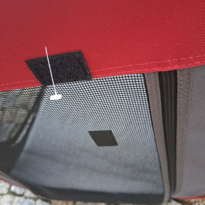 Transporter dla psa