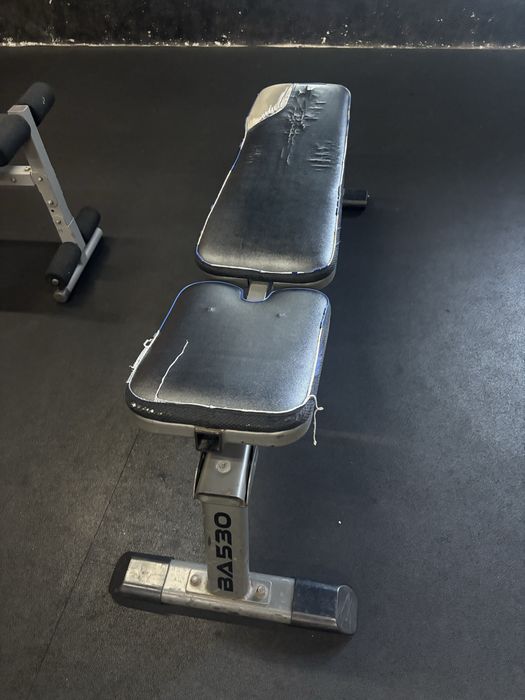 Banco de musculação profissional