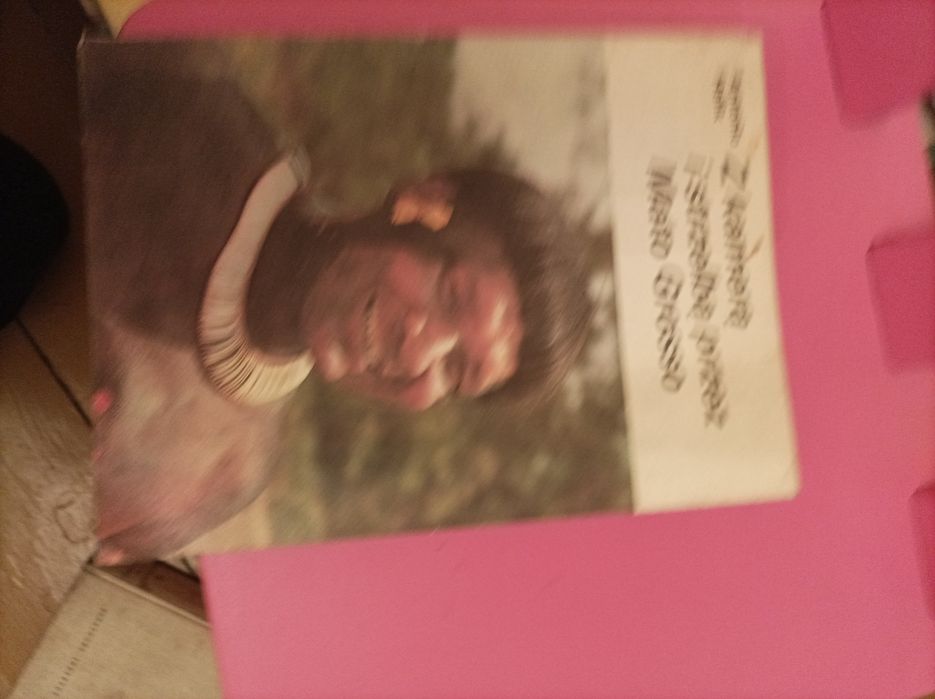 Z kamerą i strzelba