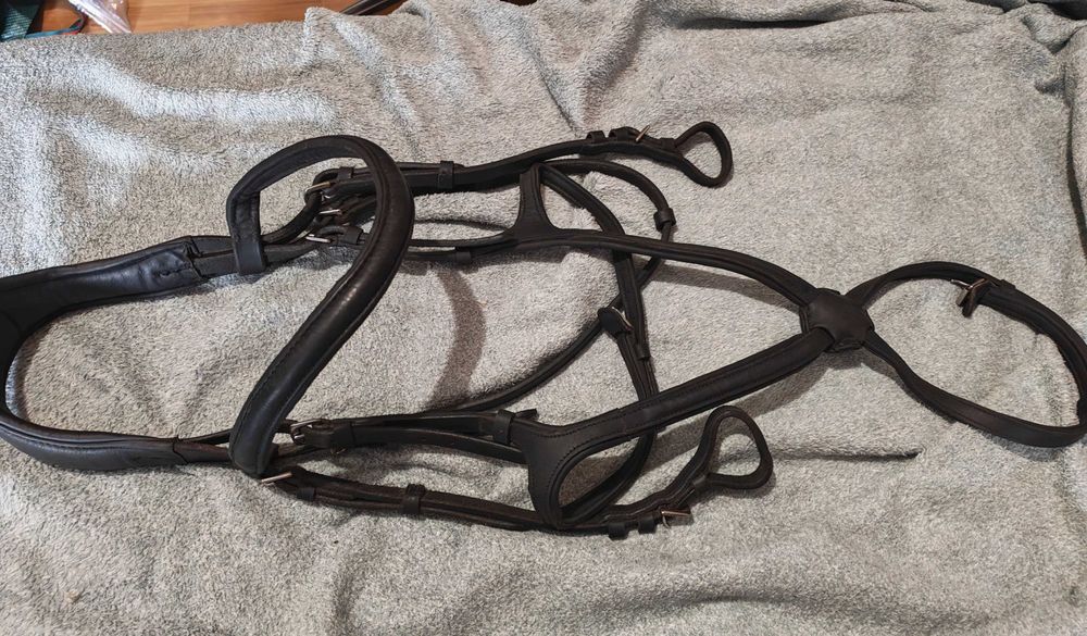 Ogłowie z miękkiej skóry Claridge House rozmiar Full, anatomiczne