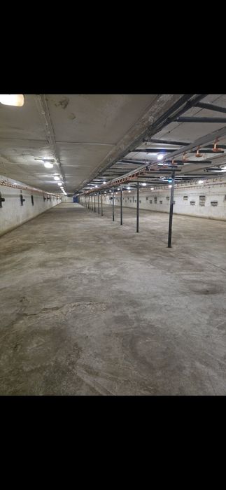 Ferma drobiu kurnik kurniki budynek gospodarczy fermy kur