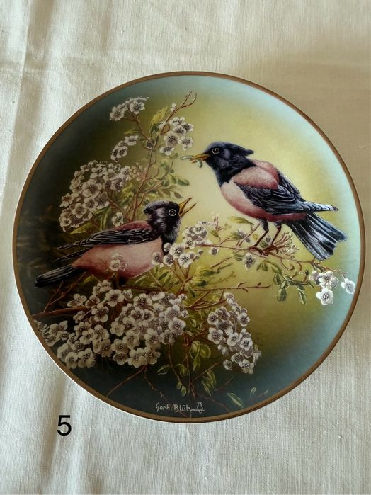 Вінтаж : Колекція фарфорових настінних тарілок.