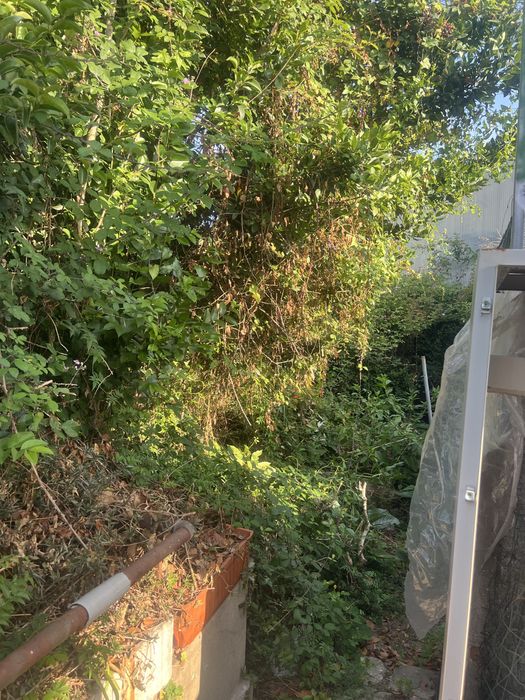 Servicos de jardinagem e limpeza de terrenos.