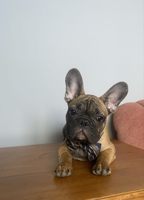 Солоденький круасанчик.