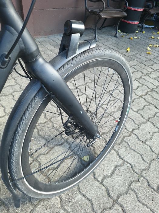 Batavus sanito roz 57