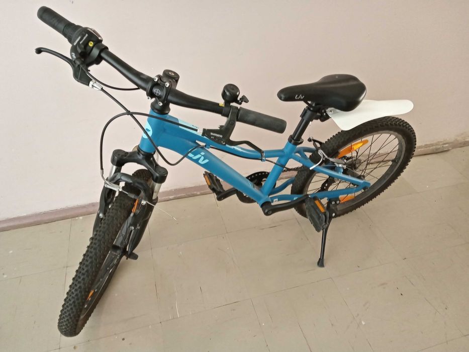 Rower Giant LIV Enchant 20"