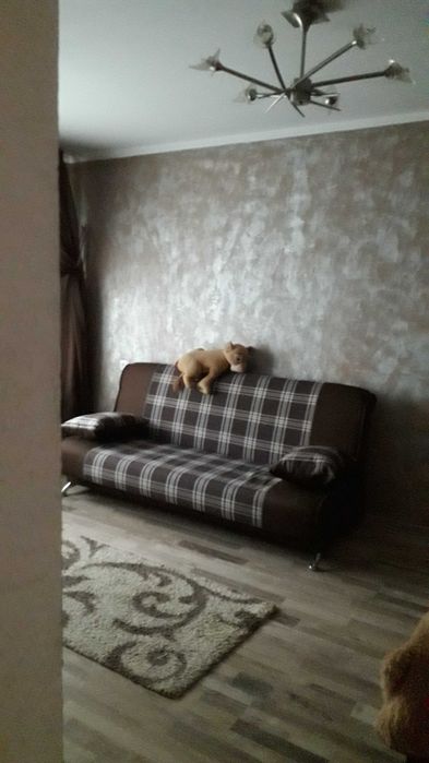 Сдаю в аренду посуточно свою квартиру в центре есть еще др варианты