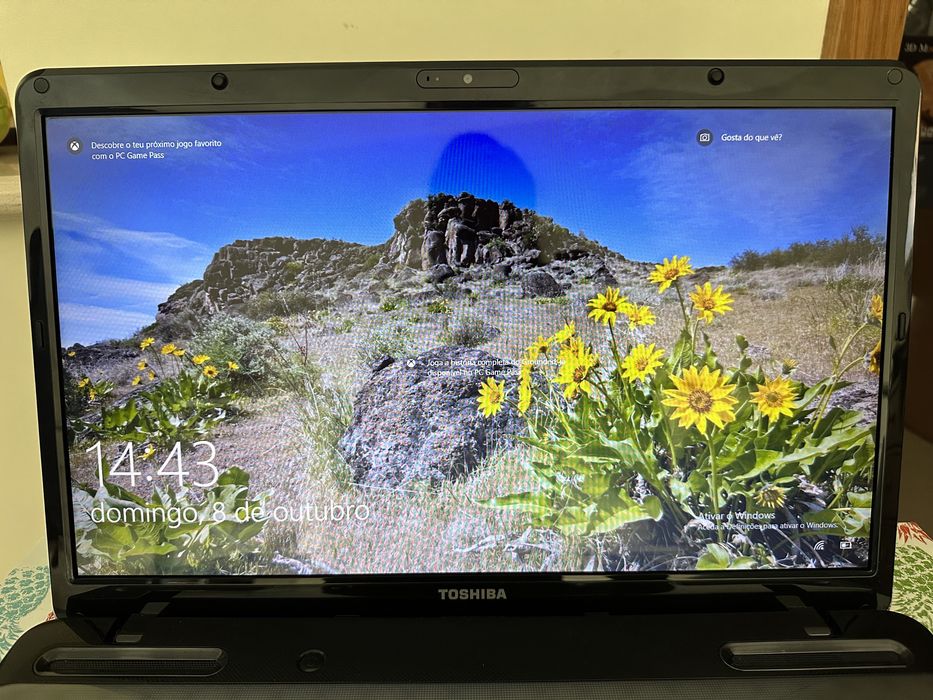 TOSHIBA Laptop435390870612224003