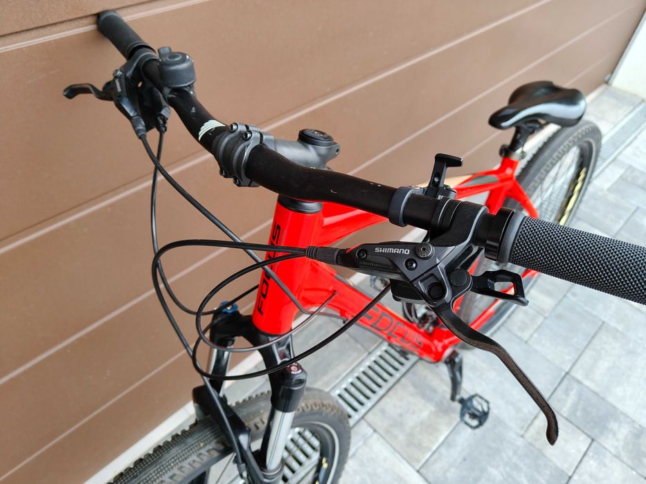 Rower górski Focus Whisler 29"