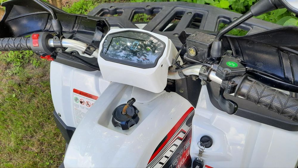 Квадроцикл Forte Braves 200