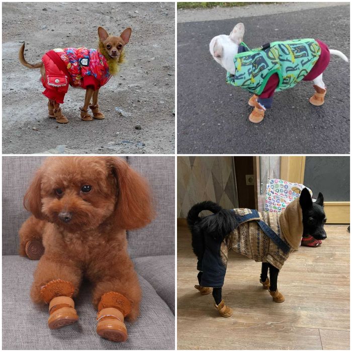 Обувь для собак. Уги. Зоотовары