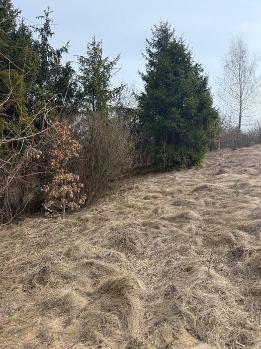 Земельна ділянка 10 сотих в затишному місці