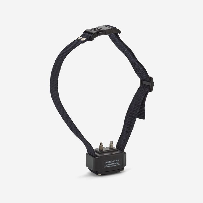 Coleira Antilatidos para Cão Canicalm Premium