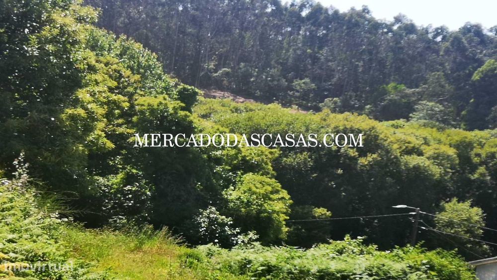Terreno c/ 2800 m2 em São Paio Oleiros