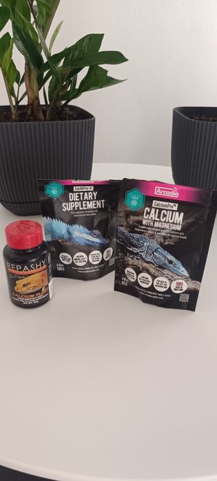 Kit Completo Terrário Répteis Arcadia UVB 90 cm + Repashy + Exo Terra