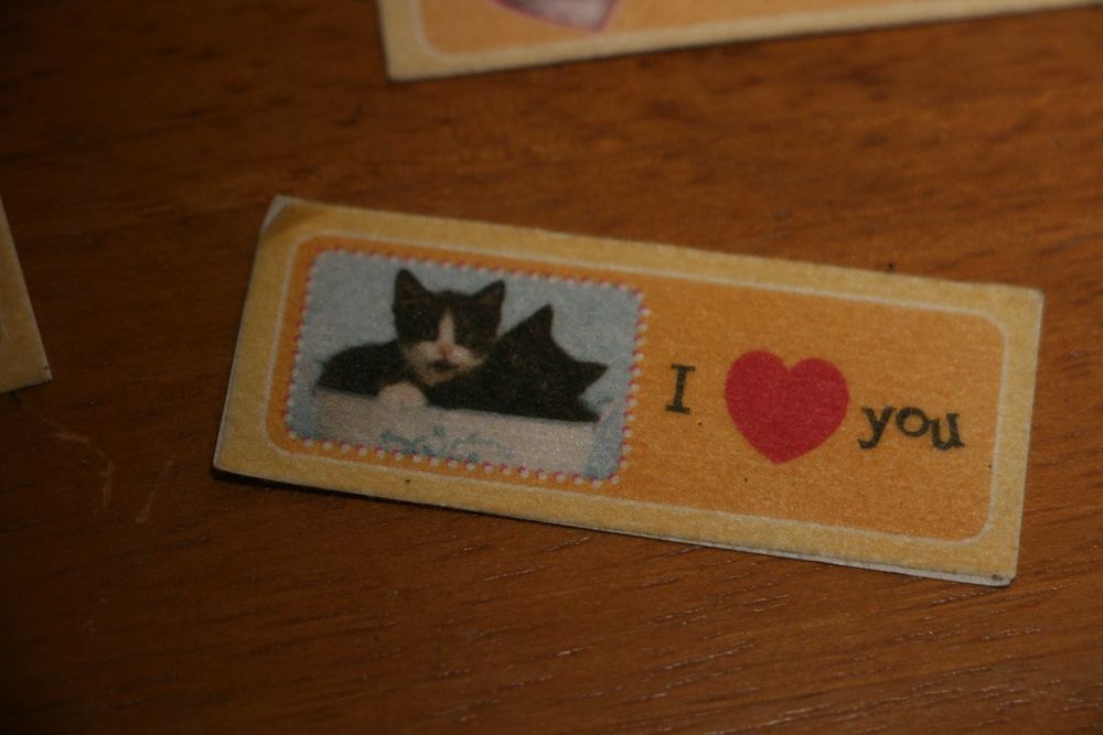 Autocolantes “Meus animais ainda mais divertidos”